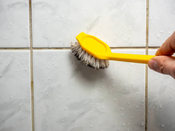 Best Mold Remediation for Schools in Rock Hall, MD