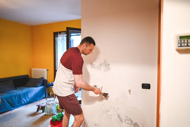Best Basement Mold Remediation in Rock Hall, MD